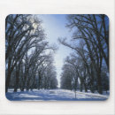 Search for bench mouse mats Park