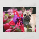 Search for tiere postcards Postkarte