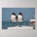 Search for gull posters Seaside