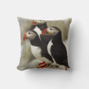 Search for puffin cushions Machias seal island