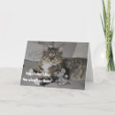 Search for funny cat fathers day cards Humour