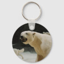 Search for polar bears round key rings Climate change