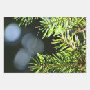 Search for pine needles wrapping paper Green
