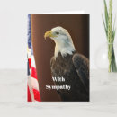 Search for bald eagle pics cards Wildlife