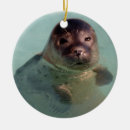 Search for sea lion christmas tree decorations Animal