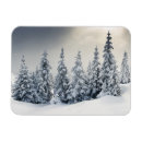 Search for snowstorm cards Cold