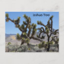 Search for mojave desert postcards Joshua tree