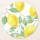Search for leaf coasters Fruit