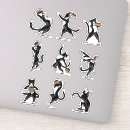 Search for pet food electronics Feline