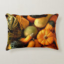 Search for mini cushions Autumn