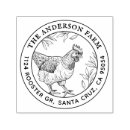 Search for egg craft supplies Organic