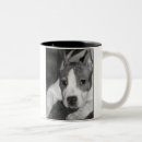 Search for pitbull puppy mugs Staffordshire