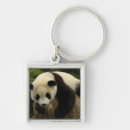 Search for oxford key rings Giant panda