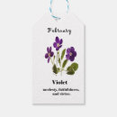 Search for birth month flower Violet