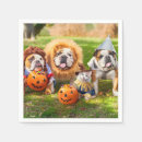 Search for funny halloween napkins Avanti press