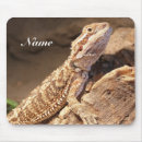 Search for bearded dragon electronics Pet