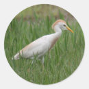 Search for egret stickers Animals