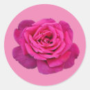 Search for single rose stickers Floral