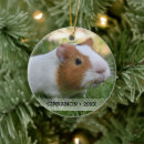 Search for guinea pig christmas decor Animal lover