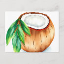 Search for coconut postcards Summer