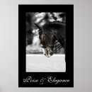 Search for riding horse posters Dressage
