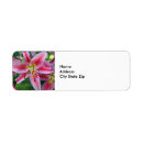 Search for stargazer lily return address labels Pink
