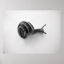 Search for simple eye posters White