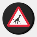 Search for attention magnets Funny