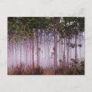 Search for foliage mist postcards Tree