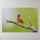 Search for bunting posters Texas