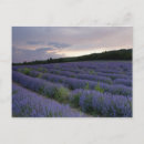 Search for cropland postcards Clouds