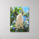 Search for lilac canvas prints Bloom