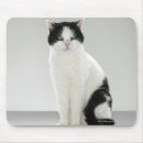 Search for black vertical standard mouse mats Looking at camera