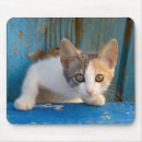 Search for tortoiseshell mouse mats Cute