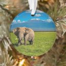 Search for tanzania christmas tree decorations African elephant