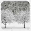 Search for adirondack stickers Chair