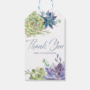 Search for succulent gift tags Tropical plants