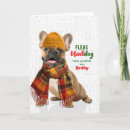 Search for flea cards Pets