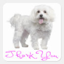 Search for maltese dog stickers Puppies