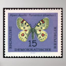 Search for vintage insect art Nature