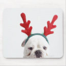 Search for background horizontal standard mouse mats Colour image