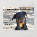 Search for rotty postcards Rottweiler
