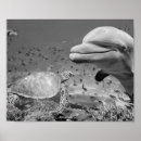 Search for dolphin art Modern
