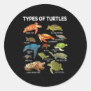 Search for funny turtle stickers Animal