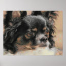 Search for dog man posters Friend