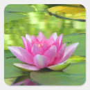 Search for lotus pond stickers Nature