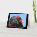 Search for buzzard cards Nature