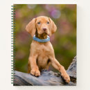 Search for baby animals notebooks dog