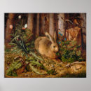 Search for wildlife posters Hare