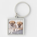 Search for inus key rings Animals